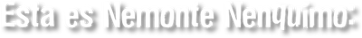 Esta es Nemonte Nenquimo: 