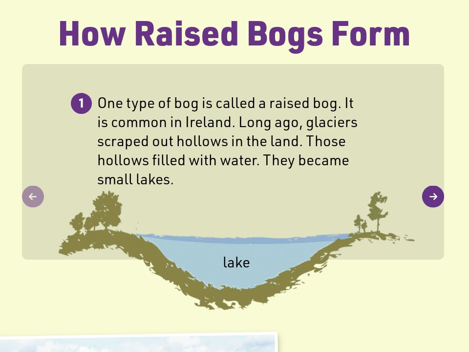 How bogs form Pioneer May 2020