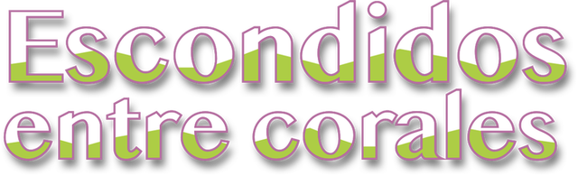 Escondidos entre corales