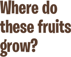 Where do these fruits grow?