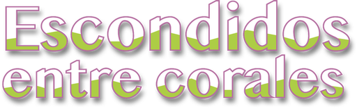 Escondidos entre corales